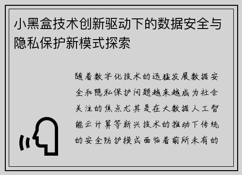 小黑盒技术创新驱动下的数据安全与隐私保护新模式探索